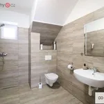 Rent 2 bedroom apartment in Roudná