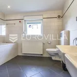 Rent 5 bedroom house of 300 m² in Zagreb