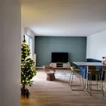 Appartement de 46 m² avec 1 chambre(s) en location à Strasbourg