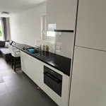 Miete 2 Schlafzimmer wohnung von 48 m² in Bülach