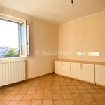 Rent 3 bedroom apartment of 65 m² in Grosseto