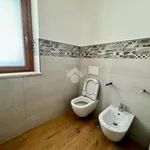 Rent 3 bedroom apartment of 80 m² in Roma