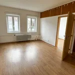 Rent 1 bedroom house of 124 m² in České Budějovice