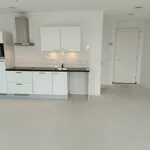 Huur 1 slaapkamer appartement van 46 m² in Leiden