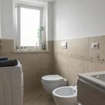 Rent 1 bedroom apartment in rome