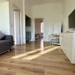 Rent 2 bedroom apartment of 50 m² in Milano