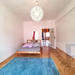 Rent 3 bedroom apartment of 320 m² in Praha