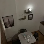 Rent 1 bedroom apartment in milan