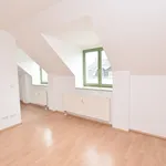 Rent 2 bedroom apartment of 43 m² in Chemnitz