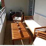 Rent 2 bedroom apartment of 43 m² in ToulouseT