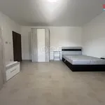 Rent 1 bedroom apartment of 44 m² in Jindřichův Hradec