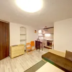 Rent 1 bedroom apartment of 26 m² in Vilnius