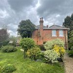 Rent 3 bedroom house in Winchester