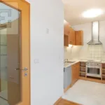 Pronajměte si 4 ložnic/e byt o rozloze 153 m² v Prague