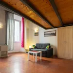 Rent 1 bedroom apartment in Florence