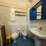 Rent 3 bedroom apartment of 87 m² in Bologna