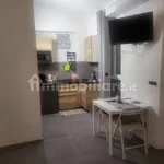 Rent 1 bedroom apartment of 25 m² in Turin