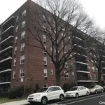 Rent 1 bedroom apartment in Queens