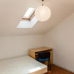 Alugar 6 quarto apartamento em Coimbra