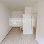 Rent 1 bedroom house of 173 m² in Příbram