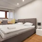 Rent 2 bedroom apartment of 53 m² in Śródmieście