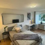 Rent 1 bedroom apartment of 29 m² in munich