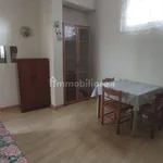 Rent 2 bedroom apartment of 40 m² in Pavia