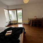 Rent 2 bedroom apartment of 48 m² in Poznan