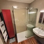 Rent 1 bedroom apartment in Capital City of Prague