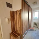 Rent 1 bedroom apartment in České Budějovice