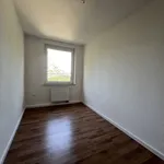 Rent 3 bedroom apartment of 61 m² in Chemnitz