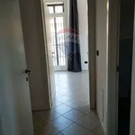 Rent 3 bedroom apartment of 85 m² in Bologna