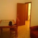 Rent 2 bedroom apartment of 70 m² in Roma