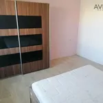 Rent 3 bedroom apartment of 70 m² in Benešov