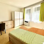 Rent 1 bedroom apartment of 25 m² in Třeboň