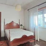 Rent a room of 120 m² in lisbon