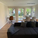 Rent 2 bedroom apartment of 55 m² in Dresden