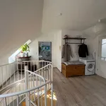 Rent 3 bedroom apartment of 105 m² in Chemnitz