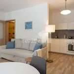 Rent 1 bedroom apartment of 33 m² in Liberec