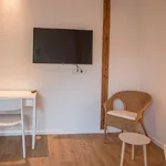 Rent 2 bedroom apartment of 71 m² in Essen