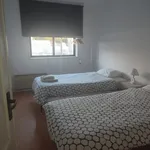 Rent 1 bedroom apartment in Porto