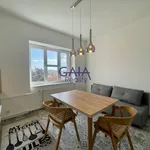 Rent 1 bedroom apartment in Hodonín