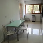 Rent 2 bedroom apartment of 100 m² in Amadora