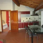 Rent 2 bedroom apartment of 51 m² in Livorno