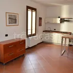 Rent 1 bedroom apartment of 33 m² in Cremona