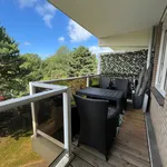 Rent 2 bedroom apartment of 60 m² in Houtwijk