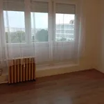 Rent 1 bedroom apartment of 40 m² in Pécs