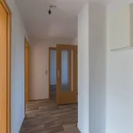 Rent 3 bedroom apartment of 60 m² in Chemnitz