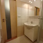 Rent 1 bedroom apartment in Železná Ruda