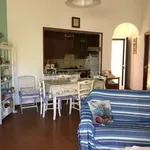 Rent 3 bedroom apartment of 80 m² in Anzio